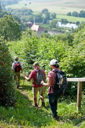 Wandern