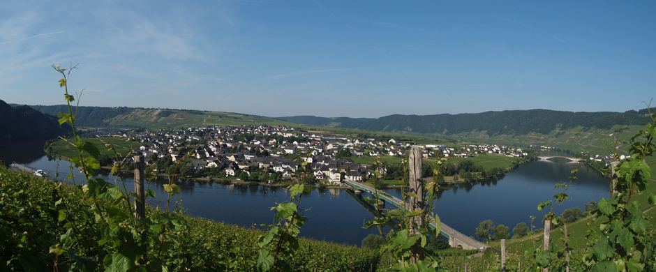 Mosel