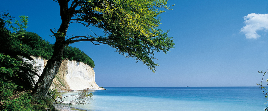 Rügen, Buchen und Meer