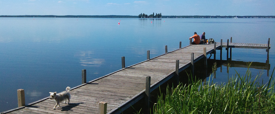 Steg am Steinhuder Meer